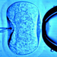 Illustration for article titled The Rise of the Three-Parent Family